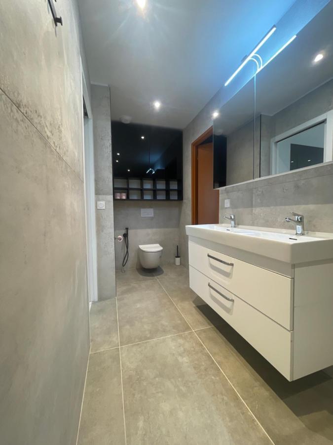 Chez Flo Apartment Grenoble Exterior foto