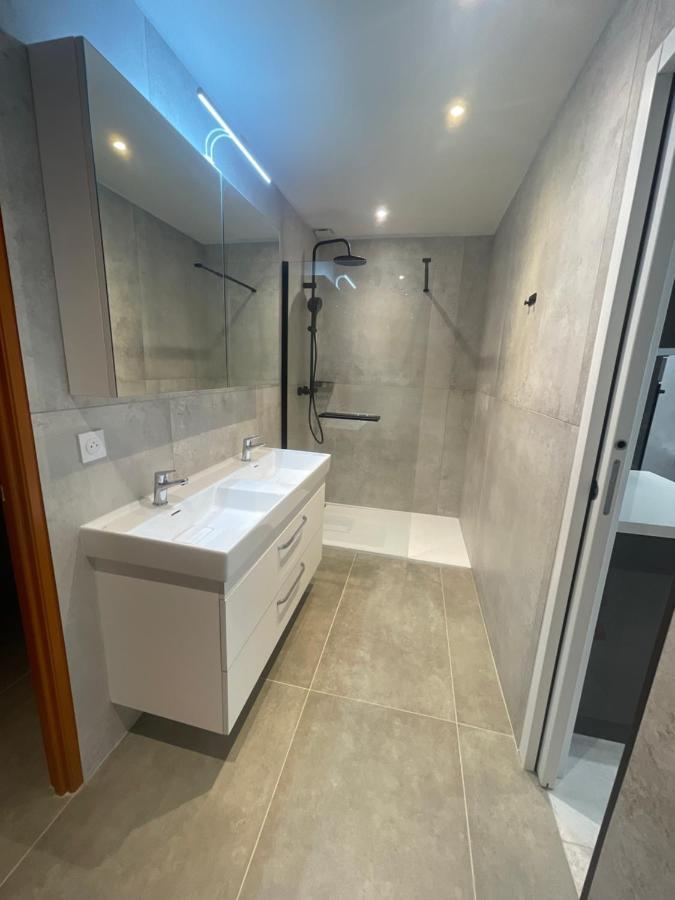 Chez Flo Apartment Grenoble Exterior foto