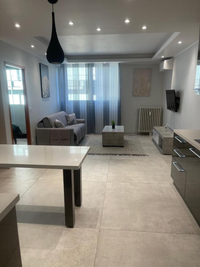 Chez Flo Apartment Grenoble Exterior foto
